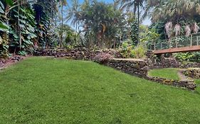 Tranquil Island Escape